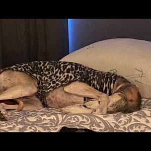 Meet your Posher, Suzanne